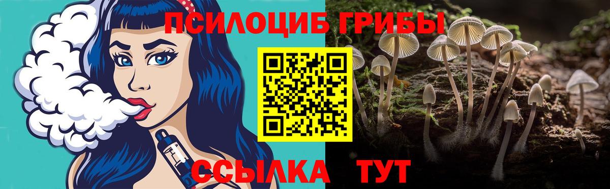 Галлюциногенные грибы GOLDEN TEACHER Светлоград