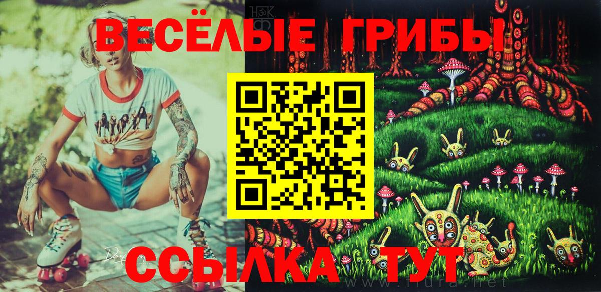 Светлоград  Галлюциногенные грибы прущие грибы  Вход с VPN 